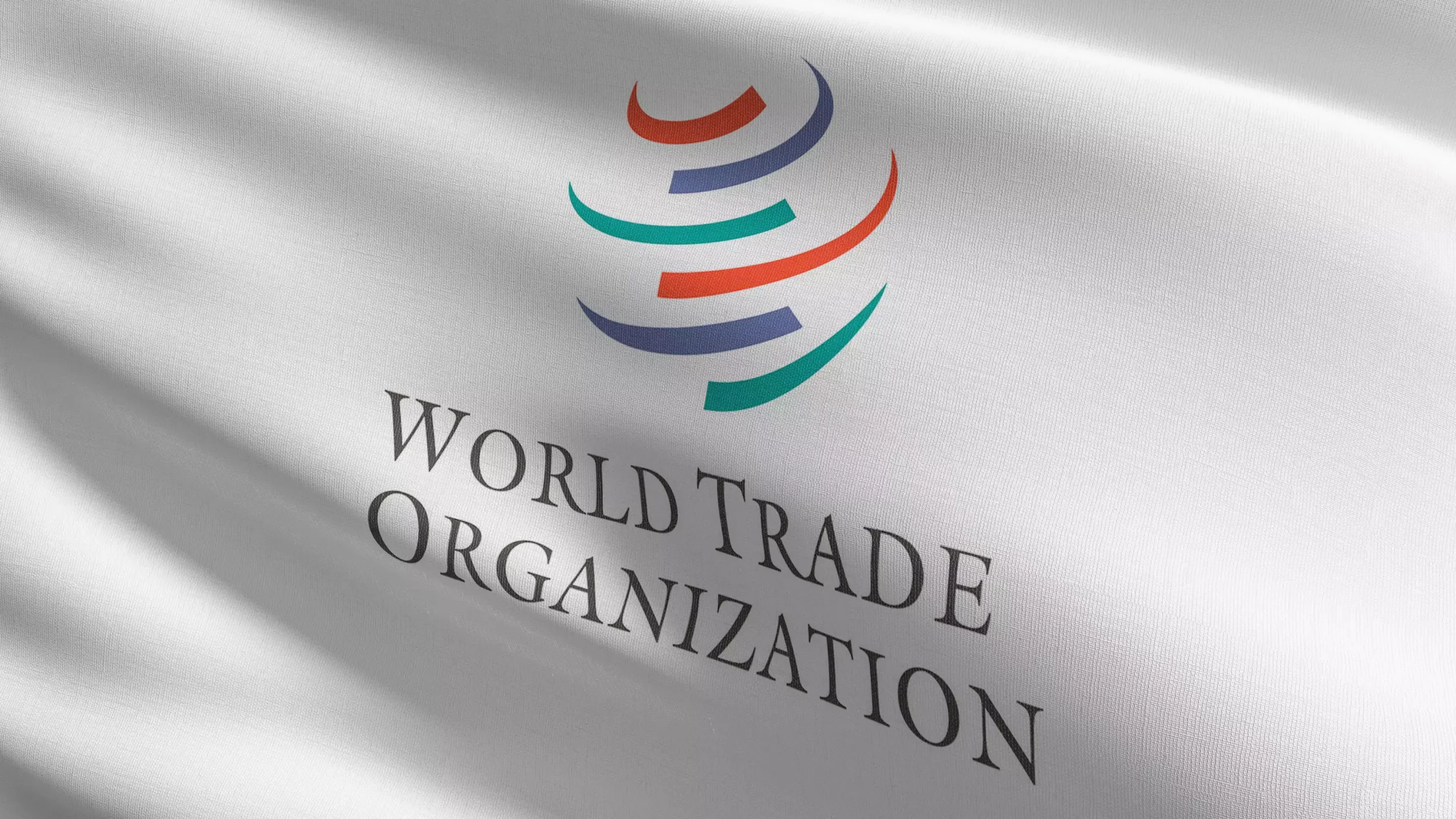 Auswirkungen der EUDR auf den globalen Handel und die Beziehungen zur WTO